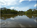 Combe Pond from its eastern bank in GU31 5DP