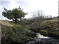 Waterfall below Old Water Bridge in CA8 9NG