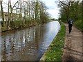 Chesterfield Canal in Rhodesia in S80 3DN
