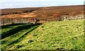 Public Footpath, Black Howe Rigg in YO18 7NW