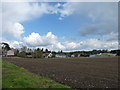 Houses near Tulloch Knowe in Deanston