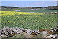 View of farmland looking towards Carsegownie Farm in DD8 3PB