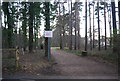 Track into Private Woods in GU14 6FD