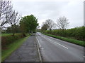 Sedgebrook Road heading south out of Allington in NG32 2DP