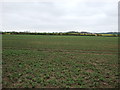 Farmland near Hougham in Hougham