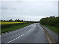 Road towards Hougham in Hougham