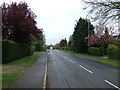 Belton Lane, Great Gonerby, heading east in NG31 8JW
