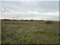 Gapton Hall Marshes, Great Yarmouth. in Southtown and Cobholm Ward