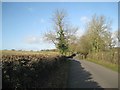 Ash trees line Forde Hall Lane in B95 5NY