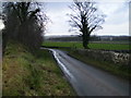 Country lane west of Cawton in YO62 4LW