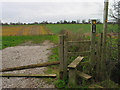 Path across the fields, Lower Peover in WA16 9QR