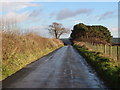The road to Mothecombe in PL8 1JZ