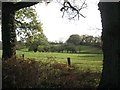 Pasture below Forde Hall Lane in B95 5PW