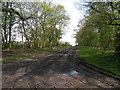 Farm track and Public Footpath at Winfarthing in IP22 2EA