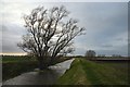 Soham Lode in East Cambridgeshire District