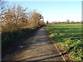 Back Lane 1.2 Km SE Northall Green EAST DEREHAM Norfolk in NR20 4AZ