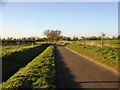Country Lane 0.6 Km WEST SWANTON MORLEY Norfolk in NR20 4PU