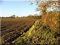 Field and Boundary 1.0 Km EAST SWANTON MORLEY Norfolk in NR20 4NU