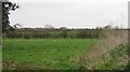 Farmland near Oakwood Farm in HG5 0RP