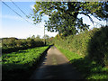 The Lane From Cranworth in IP25 7PT