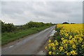 Road to Greetwell Hall Farm in Greetwell