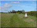 Broom Farm trig and the field it inhabits in SG18 9NR