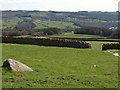 Pasture by the Nidderdale Way in HG3 4HG