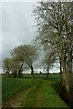 The Yapton/Ford parish boundary ditch in BN18 0GN