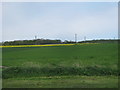 Farmland south east of Cleadon seen from the B1299 in SR6 7UW