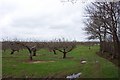 Orchard and woodland in TN17 2ND