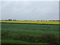 Farmland near Witcham in CB6 2LF