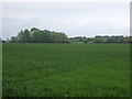 Farmland off the A142 in CB6 3NL
