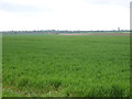 Farmland near Lancaster Lodge in CB6 3NN