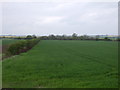 Farmland off the A10 in CB6 3FQ