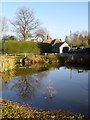 Upton Grey Village Pond in RG25 2RH