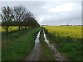 Farm track off the A142 in CB7 5TX