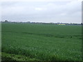 Farmland off Northfield Road in CB7 5UP