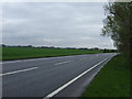 A142 towards Newmarket in CB7 5DG