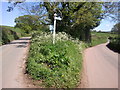 A fork in the road on the way to Mutterton in EX15 1RJ