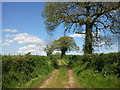 Green lane near Aunk in EX15 2NH