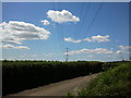 Power lines near Three Elms Cross in EX15 2NJ