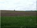 Farmland of Thurston Road in IP31 2PS