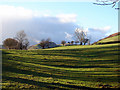 Farmland by Pen-y-Castell in SY18 6NR