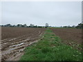 Footpath between fields in CO7 6NJ