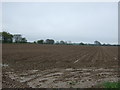 Farmland near Raydon in CO7 6NJ