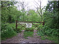 Gated track into woodland in Frating