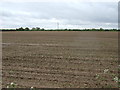 Farmland south of Clacton Road in CO7 8JD