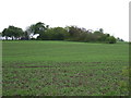 Farmland off the B1027 in CO7 8RW