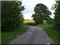Lane towards St Osyth Heath in CO16 8HJ