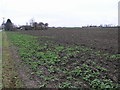 Muddy Flat Field in PE12 8SW